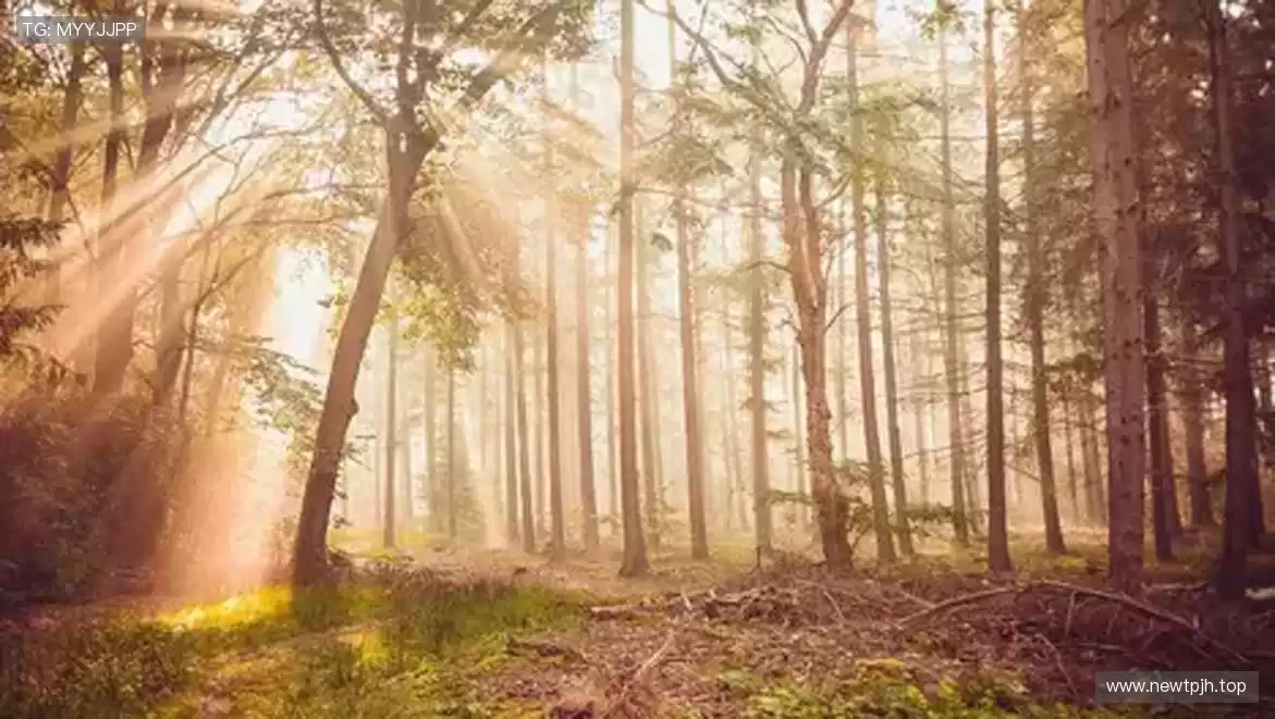 装备你的热爱，每一步都闪耀！🎯